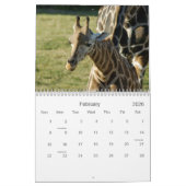 Giraffes Kalender (Feb 2026)