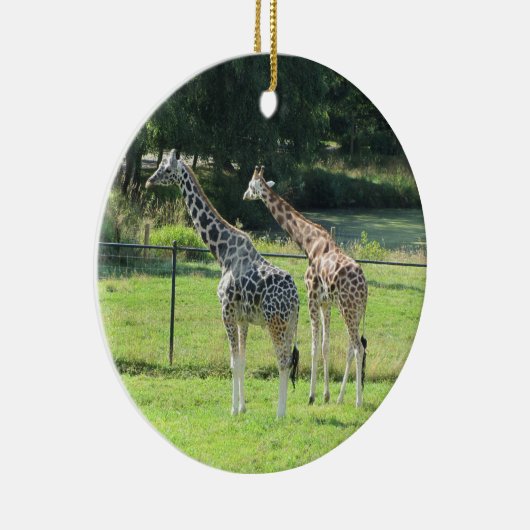 Giraffes Keramisch Ornament (Rechts)