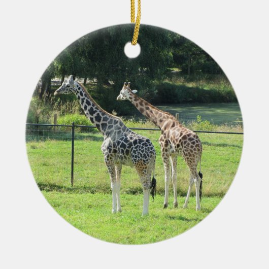 Giraffes Keramisch Ornament (Voorkant)