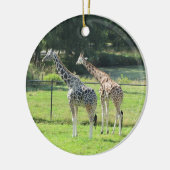 Giraffes Keramisch Ornament (Links)