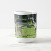 Giraffes Koffiemok (Center)