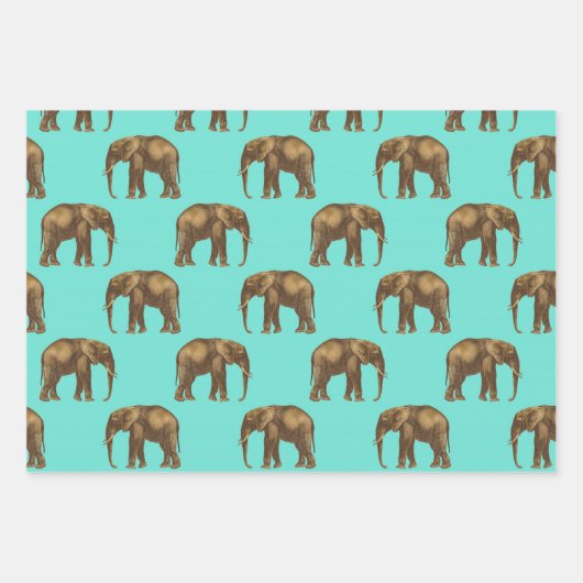 Giraffes, leeuwen en olifanten inpakpapier vel (Voorkant 3)