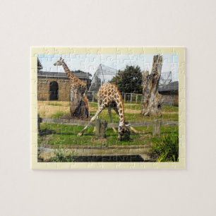 Giraffes Legpuzzel