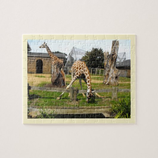 Giraffes Legpuzzel (Horizontaal)