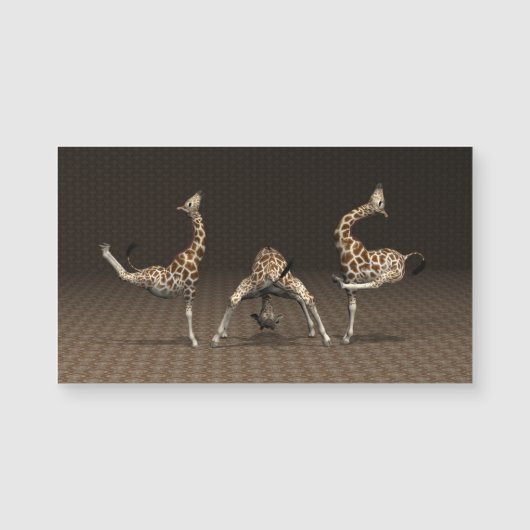 Giraffes Love Gymnastics (Voorkant)