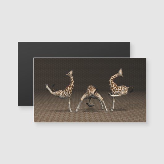 Giraffes Love Gymnastics (Voorkant / Achterkant)