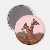 Giraffes met een roze lucht magneet (Voorkant / Achterkant)