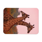 Giraffes met een roze lucht magneet (Horizontaal)