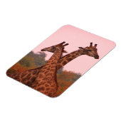 Giraffes met een roze lucht magneet (Linkerzijde)