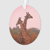 Giraffes met een roze lucht ornament (voorkant)