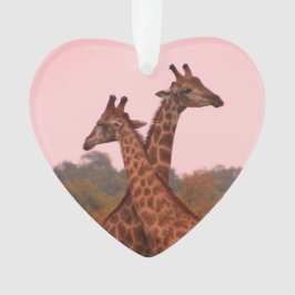 Giraffes met een roze lucht ornament