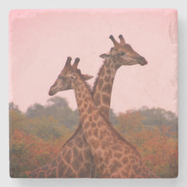 Giraffes met een roze lucht stenen onderzetter