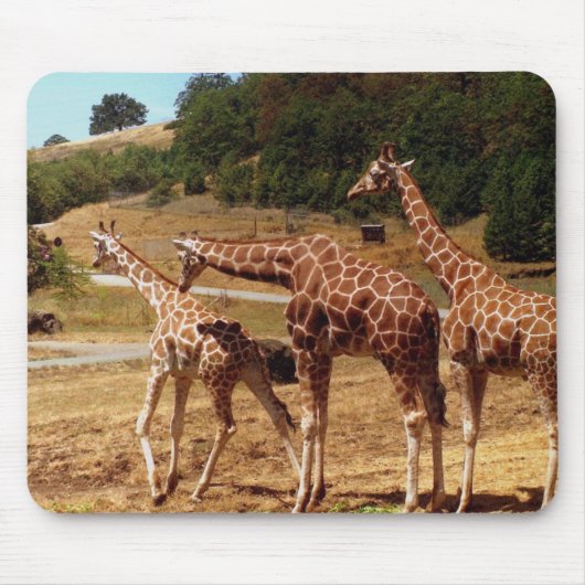 Giraffes Muismat (Voorkant)