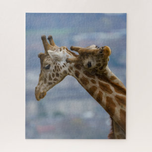 Giraffes Neck en Neck Legpuzzel