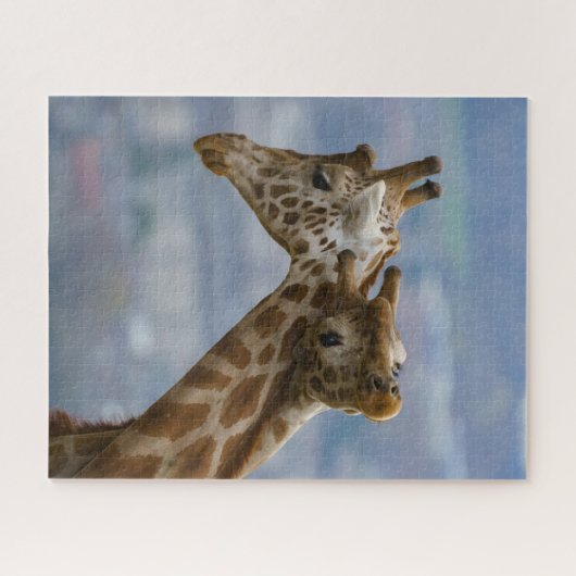Giraffes Neck en Neck Legpuzzel (Horizontaal)