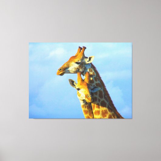 Giraffes onder blauw hemCanvas omgeven Canvas Afdruk (Voorkant)