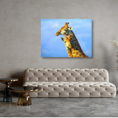 Giraffes onder blauw hemCanvas omgeven Canvas Afdruk