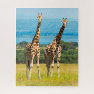 Giraffes op de Savanna in Oeganda Legpuzzel