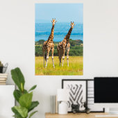 Giraffes op de Savanna in Oeganda Poster (Thuiskantoor)
