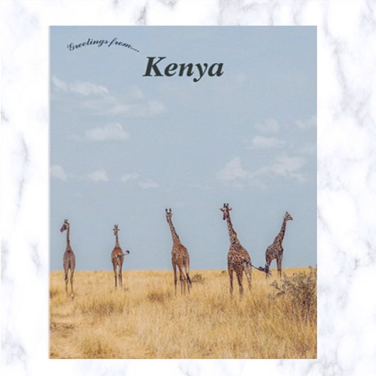 Giraffes op het Masai Mara National Reserve Kenia Briefkaart