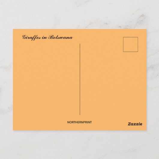 Giraffes op Sunset in Botswana Briefkaart (Achterkant)