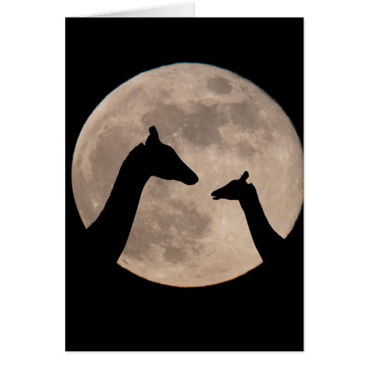 Giraffes op volle maan (Voorkant)