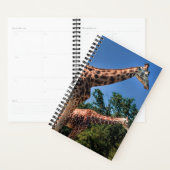 Giraffes Planner (Display)