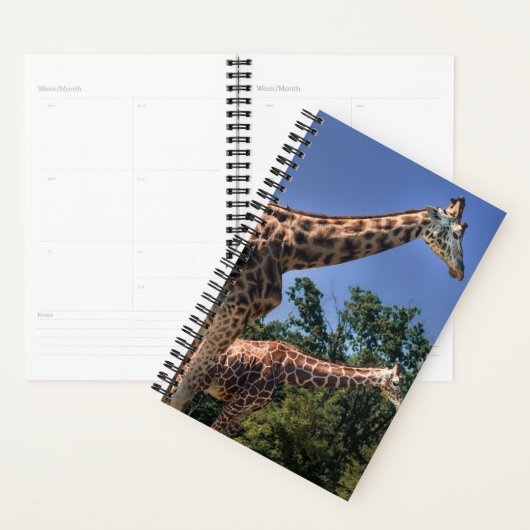 Giraffes Planner (Display)