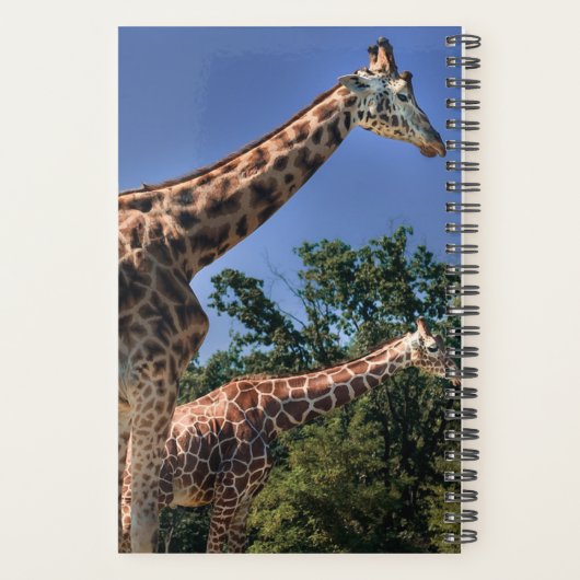 Giraffes Planner (Achterkant)