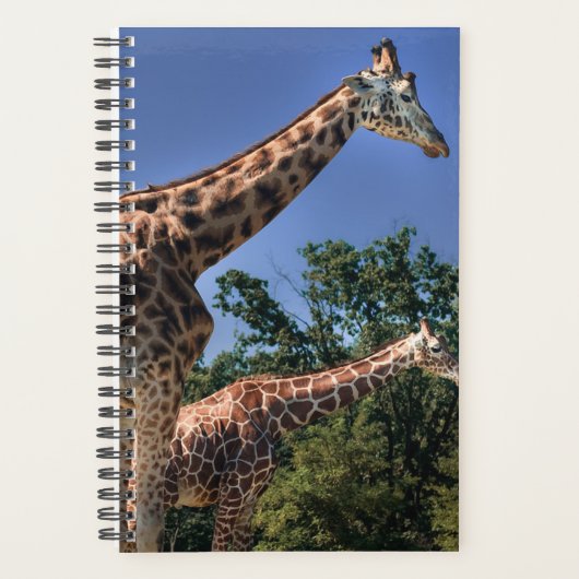 Giraffes Planner (Voorkant)
