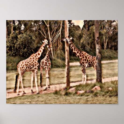 Giraffes Poster (Voorkant)