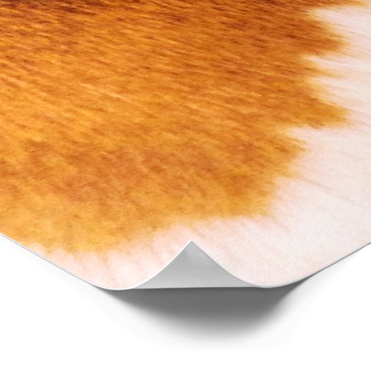 GIRAFFES POSTER (Hoek)