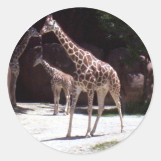 Giraffes Ronde Sticker