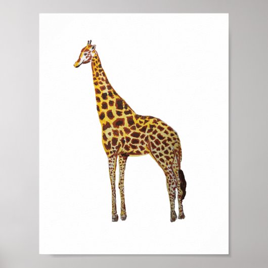 Giraffes Safari Dieren Schilderij Poster (Voorkant)