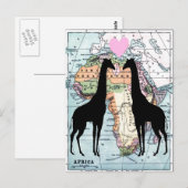 Giraffes uit liefde briefkaart (Voorkant / Achterkant)