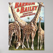 Giraffes van Barnum en Bailey Retro Theater Poster (Voorkant)