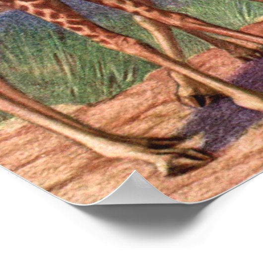 Giraffes van Louis Sargent,  Afrikaanse dieren Poster (Hoek)