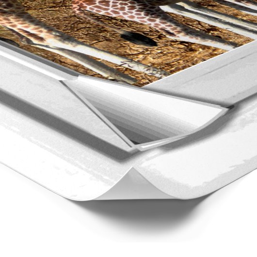 Giraffes venster Uitzicht fake Poster (Hoek)