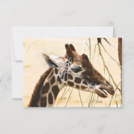 Giraffes Verre en Near Bedankkaart
