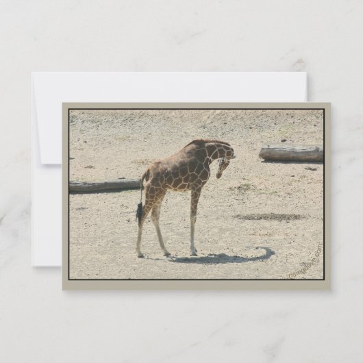 Giraffes Verre en Near Bedankkaart (Achterkant)