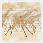 Giraffes Vierkante Sticker (Voorkant)