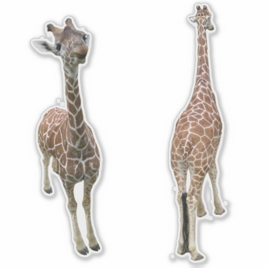 Giraffes voor en achter sticker (Voorkant)