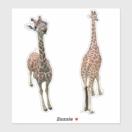 Giraffes voor en achter sticker (Vel)