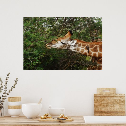 Giraffes wandhangingen en afbeeldingen poster (Keuken)