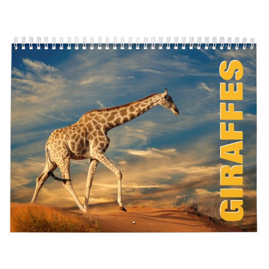Giraffes wandkalender kalender (Hoes)