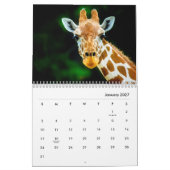 Giraffes wandkalender kalender (Jan 2027)