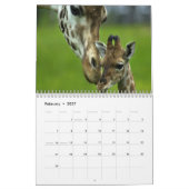 Giraffes wandkalender kalender (Feb 2027)