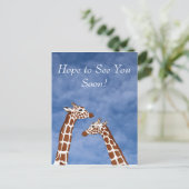 Giraffes zien je snel briefkaart (Staand voorkant)