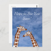 Giraffes zien je snel briefkaart (Voorkant / Achterkant)