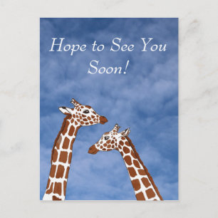 Giraffes zien je snel briefkaart